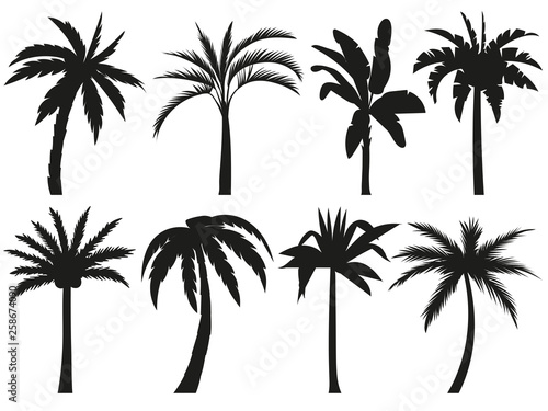 Palm trees silhouettes. Tropical leaves  retro palms tree and vintage silhouettes vector illustration set