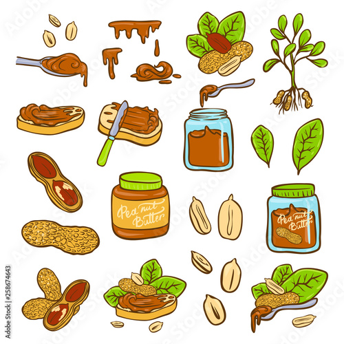 Peanut butter doodle vector icon set. Cartoon illustration set of peanut icons for web design. Nuts hand drawn emblems and labels isoleted on white backgraund