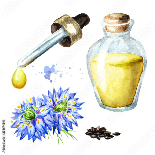 Nigella sativa, nutmeg flower, Roman coriander, black cumin, black sesame, blackseed, black caraway,  Bunium persicum oil set. Watercolor hand drawn illustration, isolated on white background photo