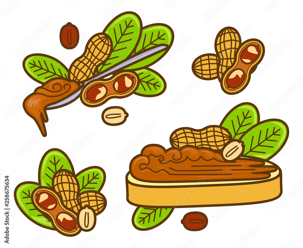 Peanut butter vector icon set. Cartoon illustration set of peanut icons for web design. Nuts emblems and labels isoleted on white backgraund Peanut butter vector icon set. Cartoon illustration set of peanut icons for web design. Nuts emblems and labels isoleted on white backgraund