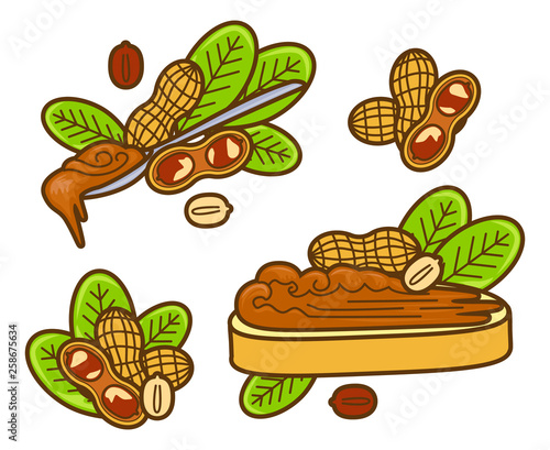 Peanut butter vector icon set. Cartoon illustration set of peanut icons for web design. Nuts emblems and labels isoleted on white backgraund