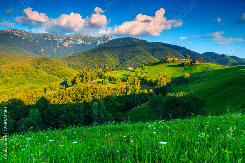 Breathtaking summer rural landscape near Bran, Transylvania, Romania, Europe