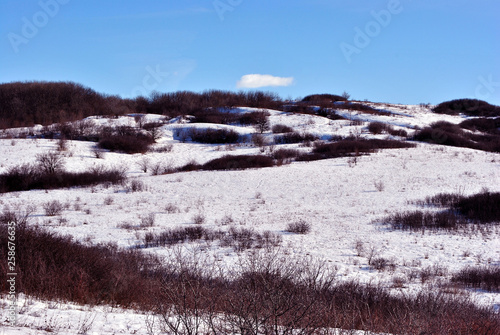 Snowy hills with thorn bushes, winter landscape, blue cloudy sky background