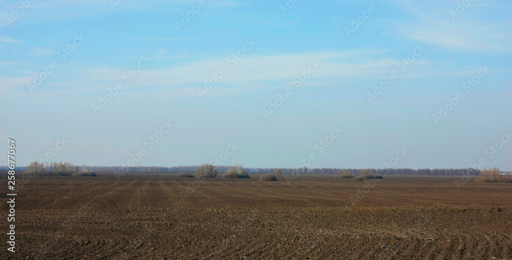 Fototapeta premium Ploughed field in spring prepared for sowing. Blue sky and forest