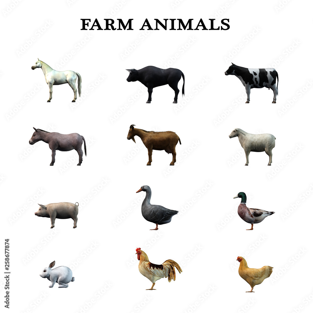  farm animals in a overview - isolated on white background