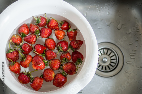 strawberries in a water bowl for clean out the toxin 