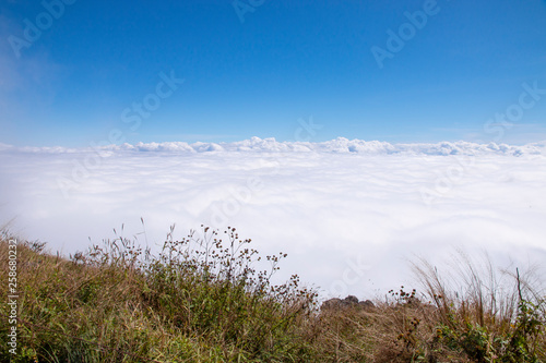 Green grass and blue sky with clouds.