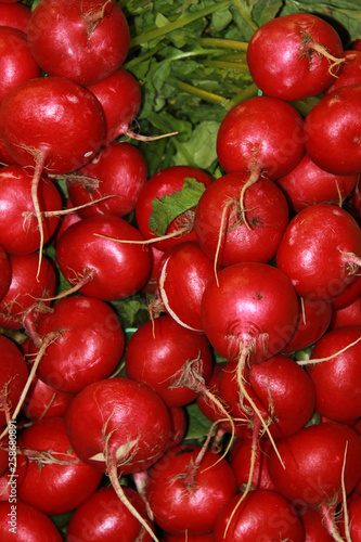 Full frame image of perfect radishes on display in a market