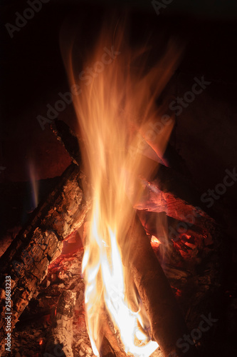 Close up shot of burning firewood in the fireplace