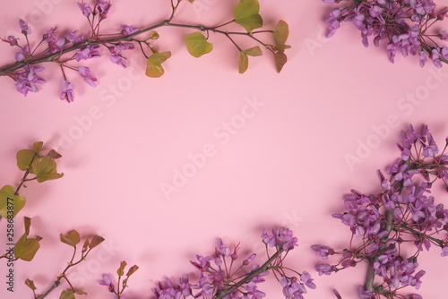 Flowers composition. Purple flowers and leaves on pastel pink background. Flat lay  top view  copy space