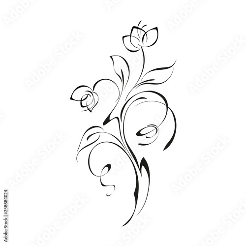 decorative twig with two flower buds on the stem with leaves and curls in black lines on a white background