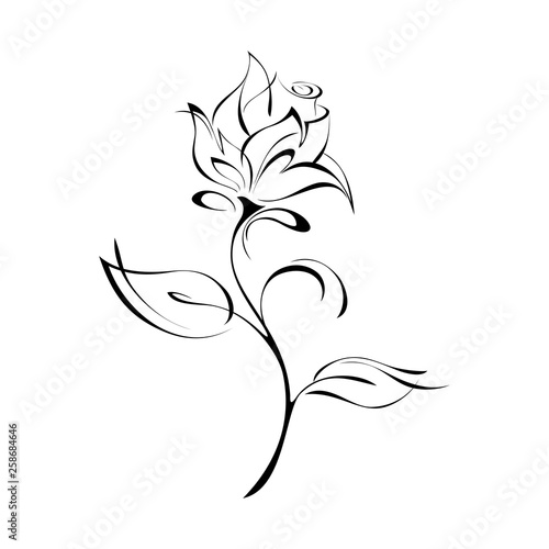 stylized rose Bud on stem with leaves in black lines on white background