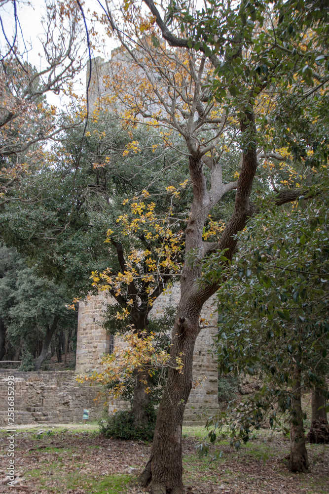 Fototapeta premium San Rabano Abbey