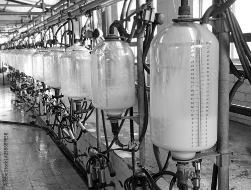 Milking equipment, in the milking hall © hanmaomin