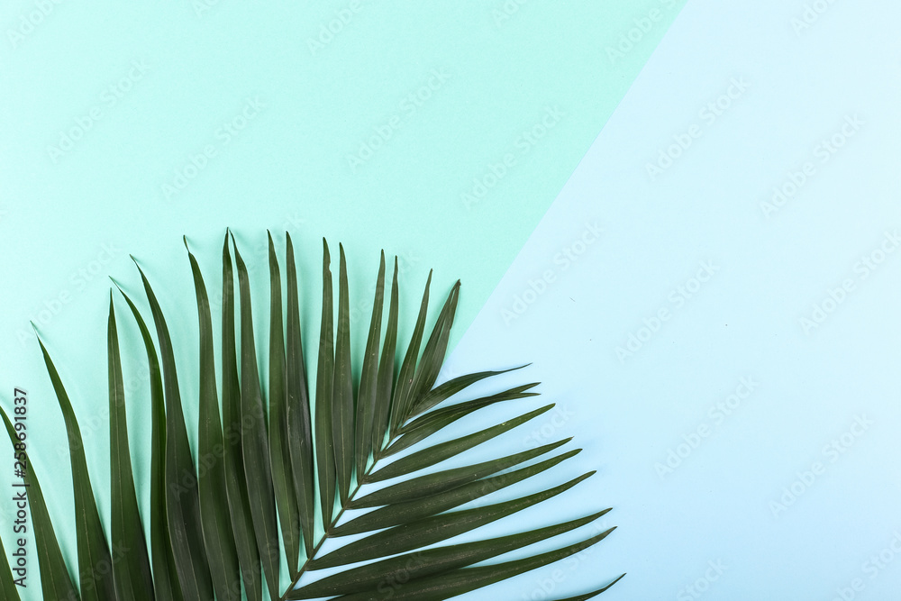 Fototapeta premium Palm leaves on colored paper. Summer mood, tropical background, blank.