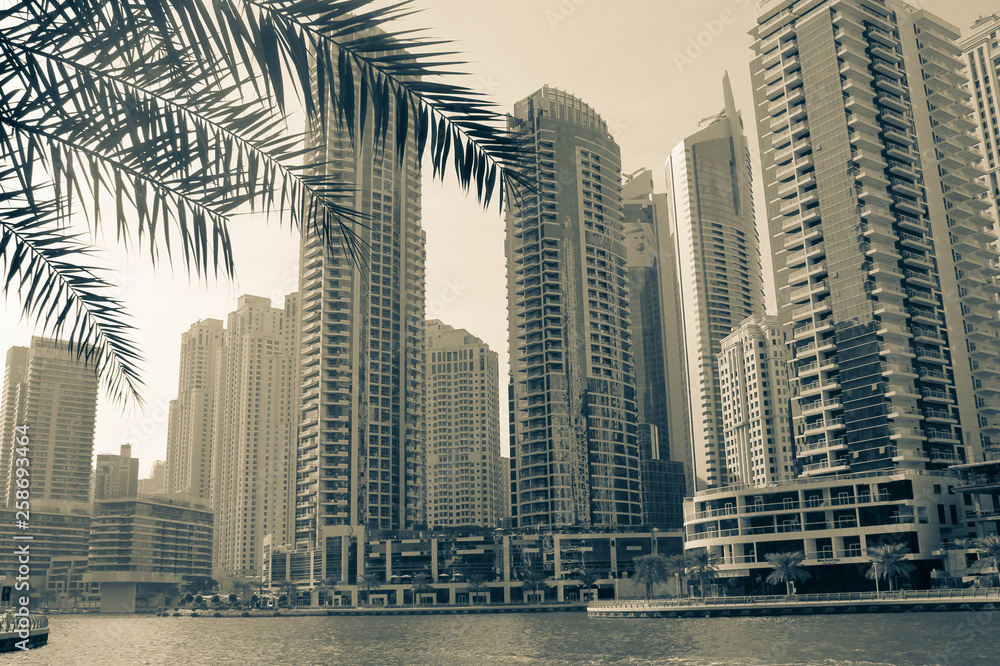 Dubai City View Marina