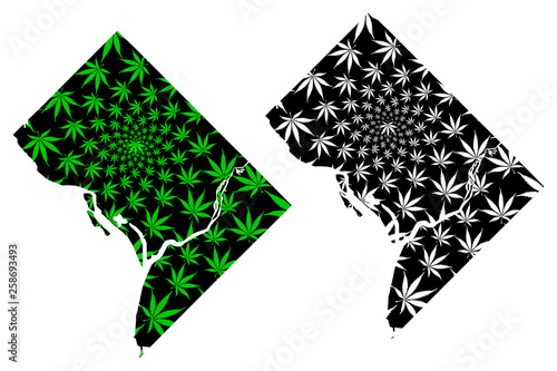 Washington city (United States of America, U.S., US, United States cities, usa city) - map is designed cannabis leaf green, District of Columbia, D.C. map made of marijuana (marihuana,THC) foliage,