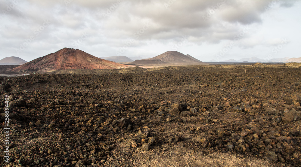 view of a volcanic landscape with lava and some plants on the island of lanzarote similar to the lunar aspect