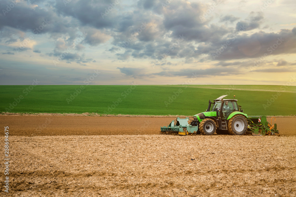 Obraz premium plantations de printemps