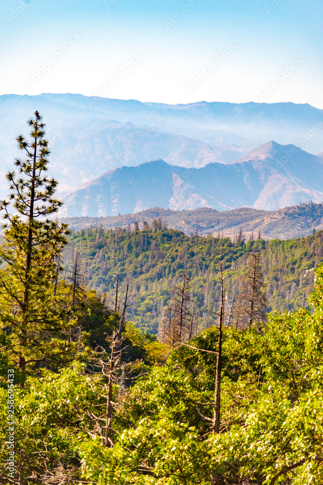 Fototapeta premium A View From Wofford Heights, California. Scenic View Of Mountains Against Sky