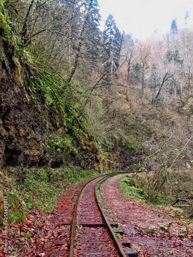 Old railway in the autumn forest in Adygea. Old railway in the autumn forest in Adygea.