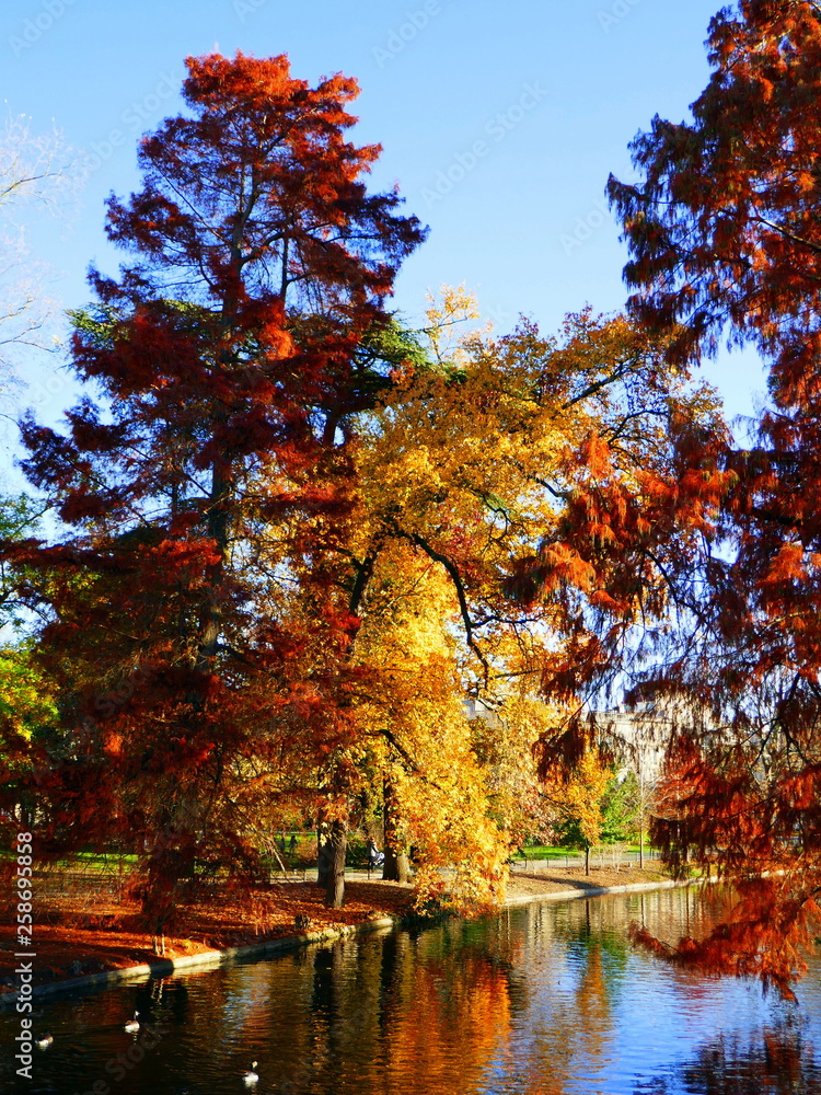 Jardin public de Bordeaux en automne Stock Photo | Adobe Stock