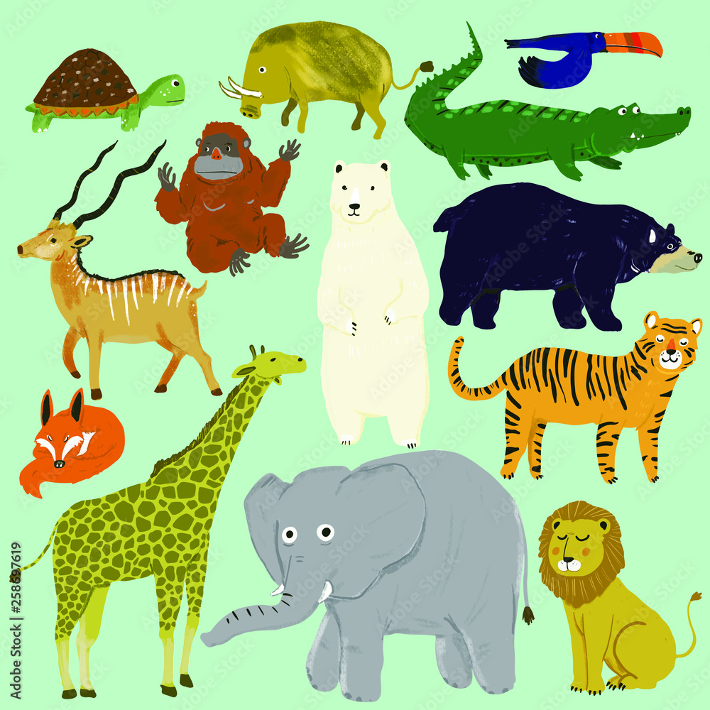 Animal Cute Illustration Animal Cute Illustration