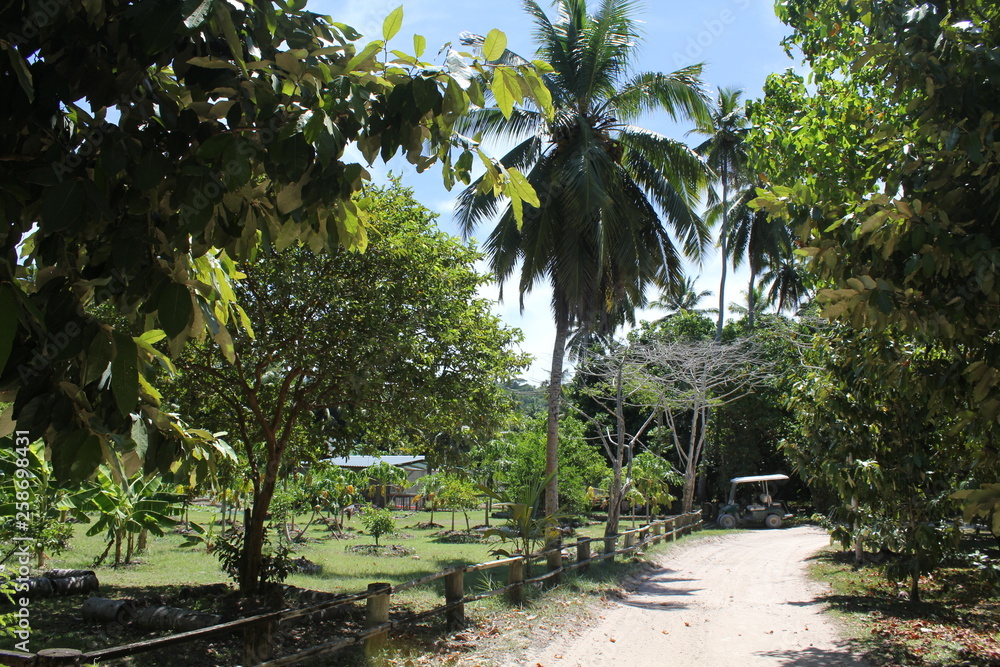 North island seychelles beach Indian Ocean palms North island seychelles beach Indian Ocean palms