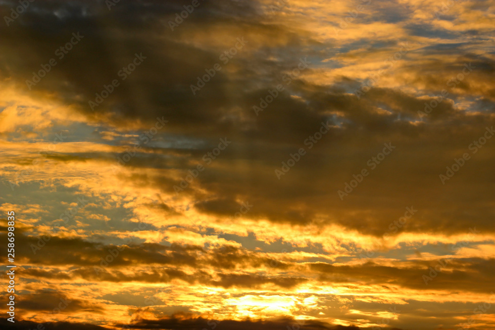 Fototapeta premium Sunset over trees in France