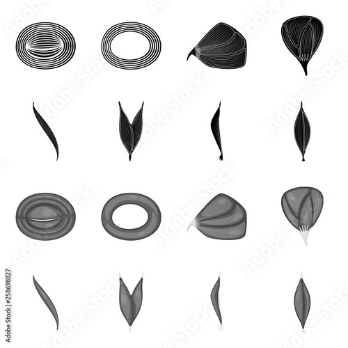 Vector design of fiber and muscular icon. Collection of fiber and body  vector icon for stock.