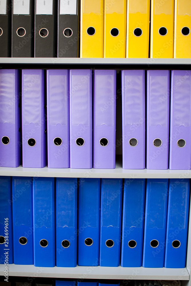 colorful archive folders for documents on the shelves in the office
