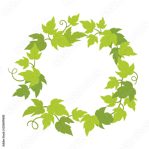 Grapevines plant frame circle banner. Round border grape frame. Place for text name or logo. Grapes green leaves. Vector flat Illustration.