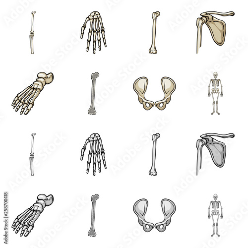 Vector design of medicine and clinic sign. Collection of medicine and medical stock symbol for web.