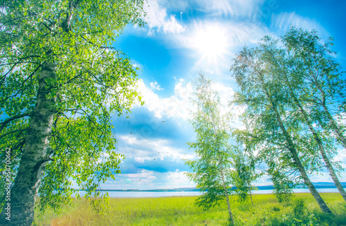 Summer lake landscape from Sotkamo  Finland.