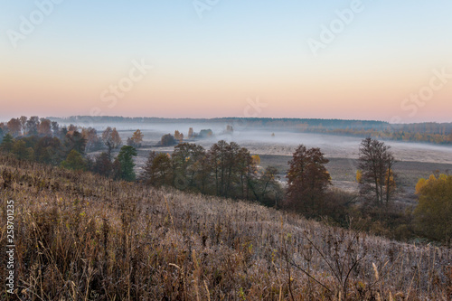 Morning river in forest