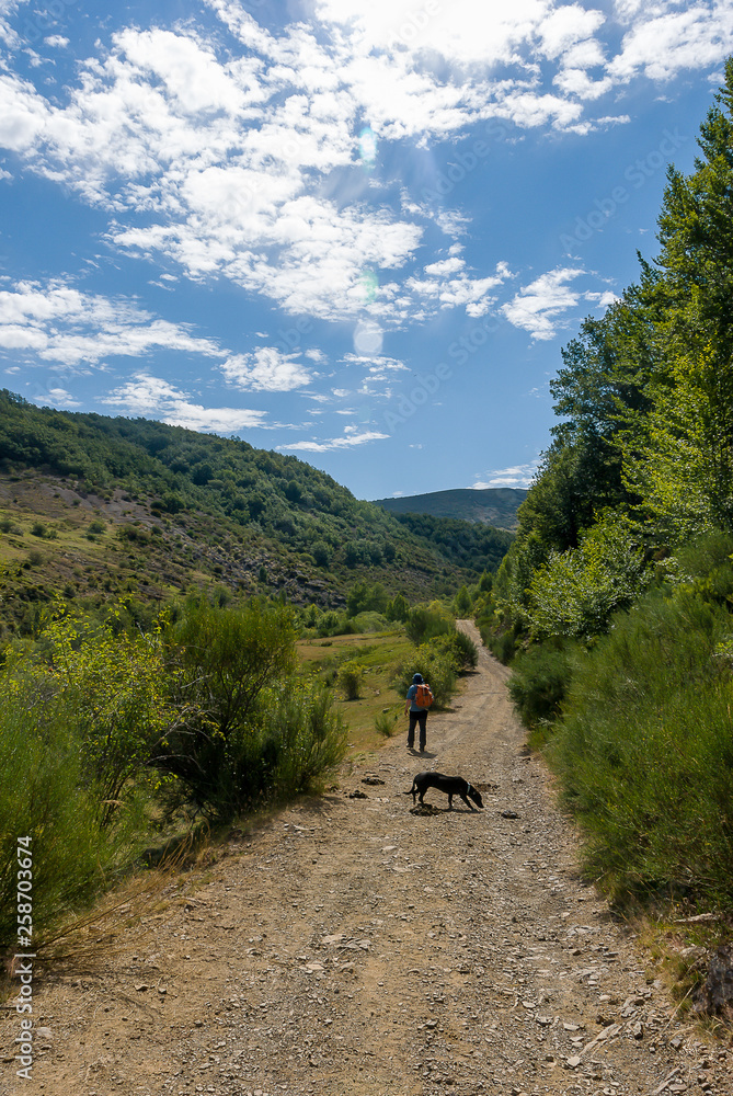 Man with his dog on the source route the copper. Fuentes de Carrionas natural park. Spain