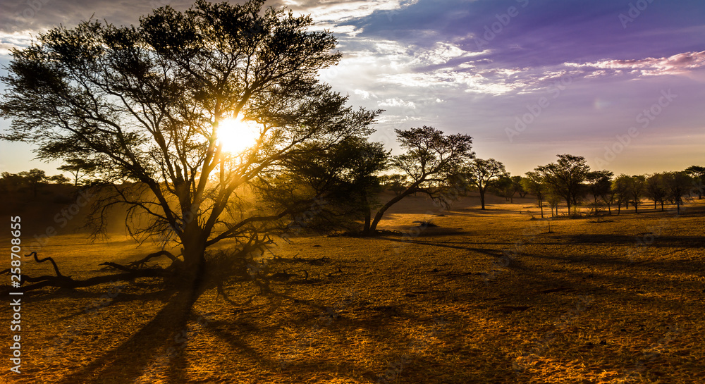 Naklejka premium Namibia