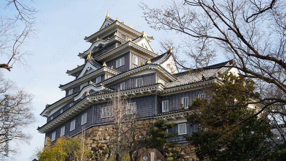 Fototapeta premium 岡山城