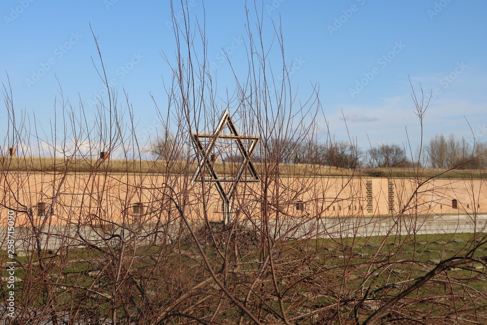 Obraz premium Star of David