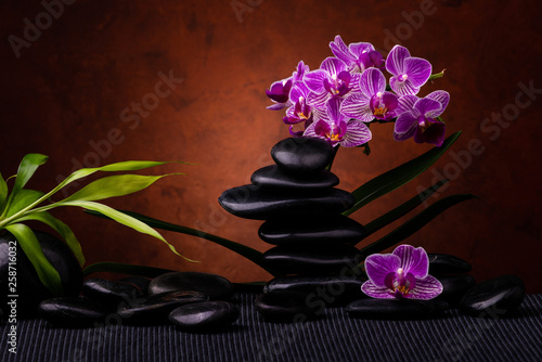 Spa, concept. composition with bamboo, orchid flowers and black stones