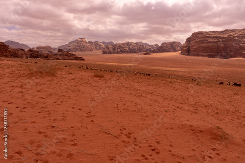 Wadi Rum, Jordanian desert landscape.