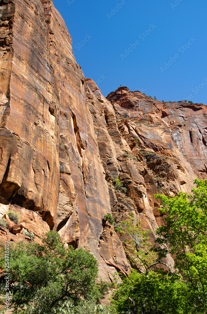 Fototapeta premium Canyon Wall