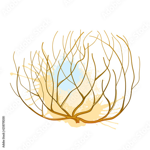 Rolling desert plant Tumbleweed in brown and beige isolated on white background.