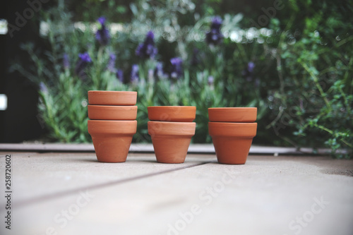 女の子 顔なし １人 手 植物 コピースペース イメージ エコ エコロジー 環境問題 考える 自然 葉 Eco 明るい 地球温暖化 エコロジーイメージ 屋外 木 ラベンダー 鉢 植木鉢 素材 省エネ ハーブ ガーデニング 鉢植え 環境 日本人 かわいい テラコッタ 園芸 庭 温暖化 紫