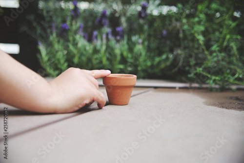 女の子 顔なし １人 手 植物 コピースペース イメージ エコ エコロジー 環境問題 考える 自然 葉 Eco 明るい 地球温暖化 エコロジーイメージ 屋外 木 ラベンダー 鉢 植木鉢 素材 省エネ ハーブ ガーデニング 鉢植え 環境 日本人 かわいい テラコッタ 園芸 庭 温暖化 紫