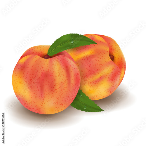 Realistic Ripe peaches whole and green leaves with drops. Juicy fruit 3d illustration high detail isolated on white background. Vector