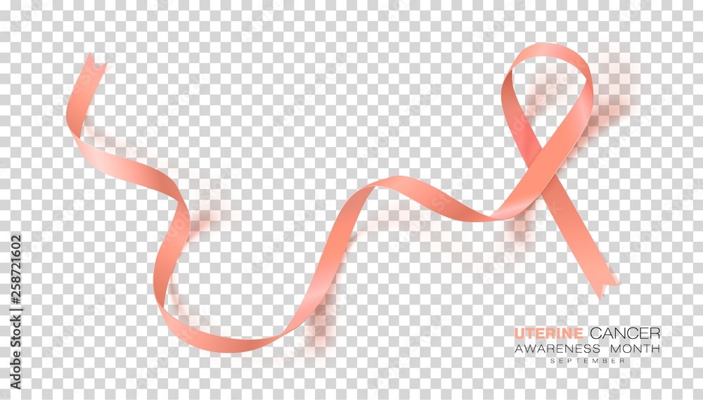 Uterine Cancer Awareness Month. Peach Color Ribbon Isolated On Transparent Background. Vector Design Template For Poster. Uterine Cancer Awareness Month. Peach Color Ribbon Isolated On Transparent Background. Vector Design Template For Poster.