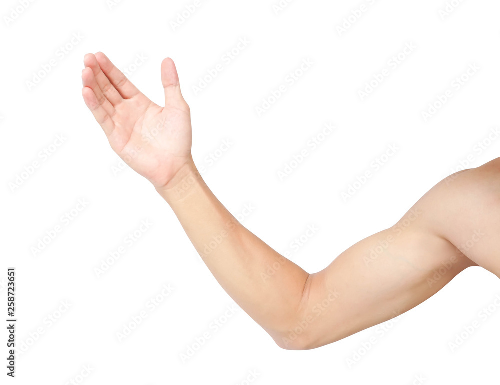 Man arm with blood veins on white background, health care and medical concept Man arm with blood veins on white background, health care and medical concept