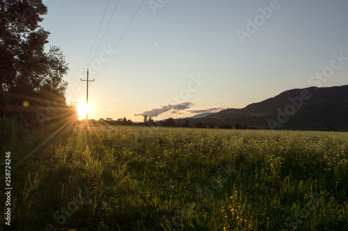 sunset on the country