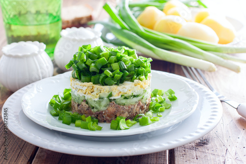 Salad with canned fish and green onions on a white plate, horizontal